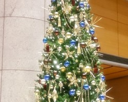 日本橋三井タワー クリスマスツリー