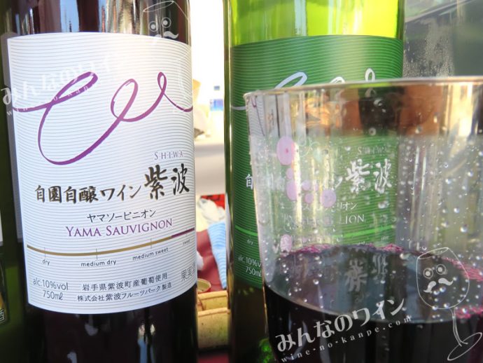 『第2回 日本ワインMATSURI at 豊洲公園』行ってきました