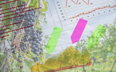 サントリーワイン、ビッグデータ活用で日本ワイン増産を目指す