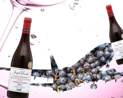 【ボジョレー・ヌーヴォー2019】ANAオリジナルラベルワインを公式ECサイトにて8/26より販売開始
