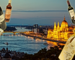 ハンガリーワインの魅力を体験！『ハンガリーワイン グランドテイスティング 東京』