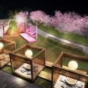 【3/20～】スタイリッシュなお花見を満喫！春を彩る『CHANDON Blossom Lounge』