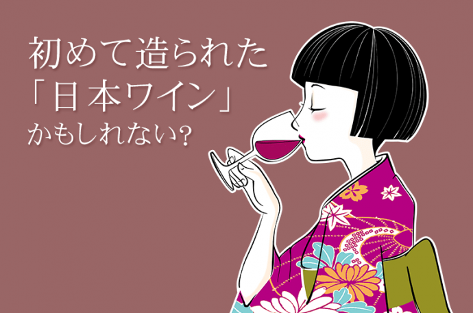 初の日本ワイン!?400年前に細川家が造っていた「ぶだうしゆ」とは