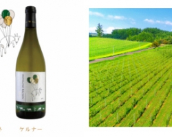 北海道の2つのテロワールを飲み比べできる！中富良野産と余市産のワイン3種発売