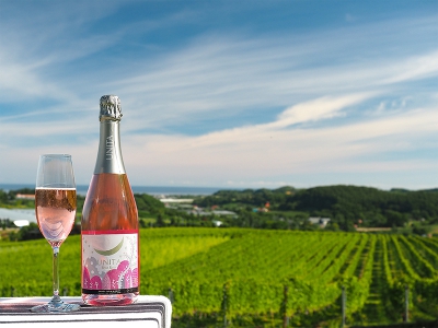 ランセッカ　ノボリ　ロゼ　2020 余市　ワイン　スパークリング ランセッカ ノボリ ロゼ 2020 余市 ワイン スパークリング ランセッカ