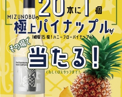 【～12/31】極上パイナップルが当たる！ビコーズワインのプレゼントキャンペーン