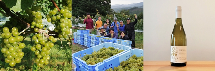 南三陸産の葡萄から生まれた初のワイン『MINAMISANRIKU CHARDONNAY 2020』発売