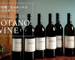 旨みあふれる極上の日本ワイン『VOTANO WINE』入手困難な人気銘柄がwa-syuにて通販スタート