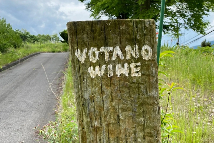 旨みあふれる極上の日本ワイン『VOTANO WINE』入手困難な人気銘柄がwa-syuにて通販スタート
