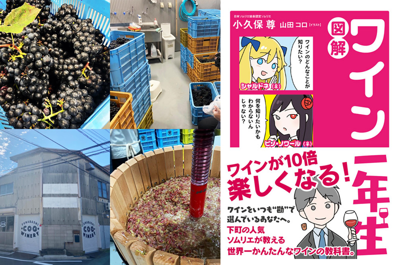 千葉県初の都市型ワイナリー『FUNABASHI COQ WINERY』にてワイン直売所がオープン