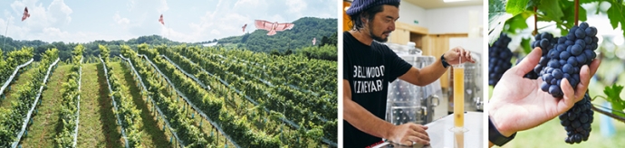 気鋭の栽培醸造家による山形県上山市のワイナリー「ベルウッドヴィンヤード」wa-syuに初入荷
