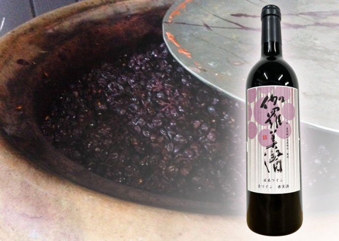 蘇った400年前の日本ワイン『伽羅美酒』小倉藩主・細川家が生んだ葡萄酒