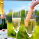 キュートなピンクの焼き菓子「ビスキュイローズ」と厳選シャンパンを楽しむ『シャンパンガーデン 2023』