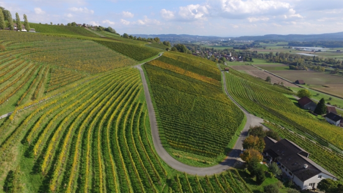 スイスのビオワイン界パイオニアによるウェビナー『オーガニックワイナリー・レンツに見る持続可能なワイン造り』