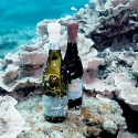 奄美大島の海底熟成ワインプロジェクト『tlass SEA CELLAR』とUMITOが贈るサステナブルなワイン体験