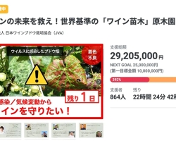 100年後の日本ワインを守る、「日本最大級のワイン葡萄原木園」誕生へ