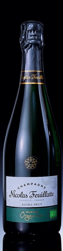 銀座が音と光で満ちる冬―GINZA SIX「Reflection Eternal」と華やぐクリスマスギフト＆ワイン