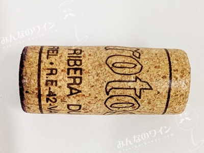 プロトスロブレ2022