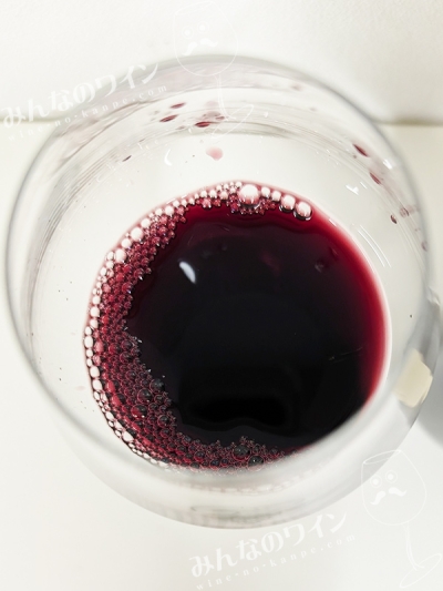 カテナアルタマルベック2019