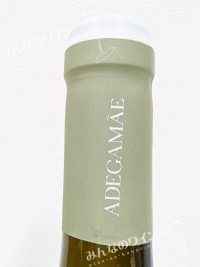 ドリーブランコ2023