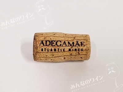 ドリーブランコ2023