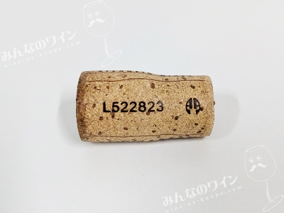 ドリーブランコ2023