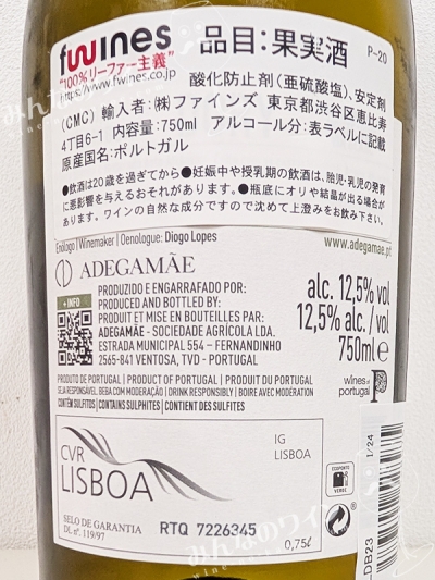 ドリーブランコ2023