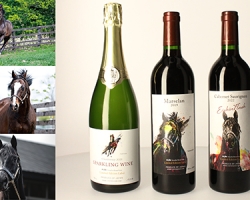 名馬をモチーフ