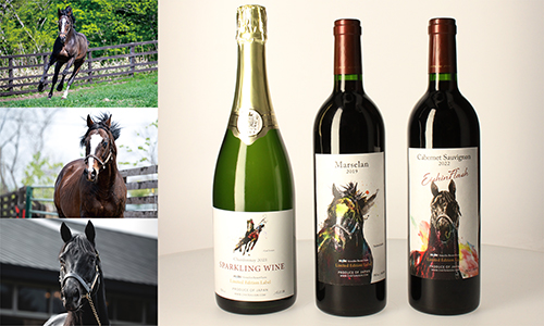 名馬をモチーフ