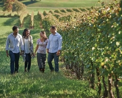 勝利と成功を祝う