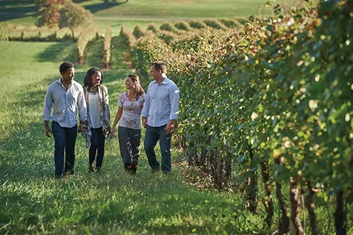 勝利と成功を祝う