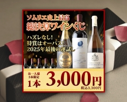 【やってみた】『総決算ワインくじ』3本セットに挑戦しました!