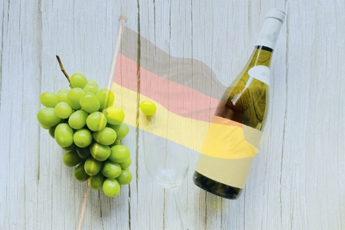 『Wine Paris 2026』で存在感を高めるドイツワイン!過去最多66社が集結