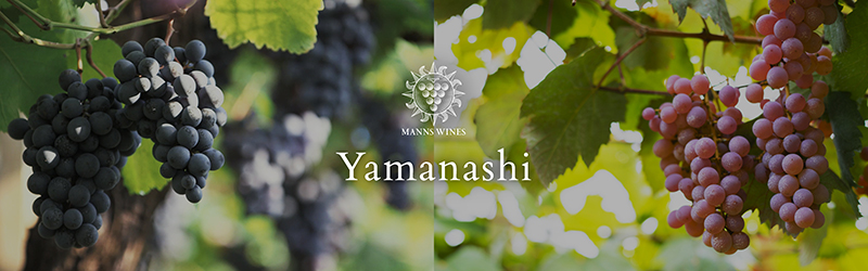山梨