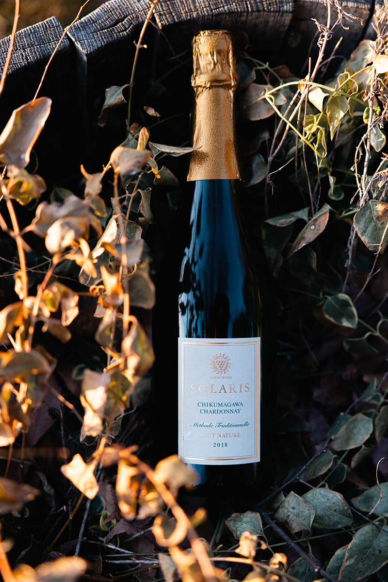 新ヴィンテージ