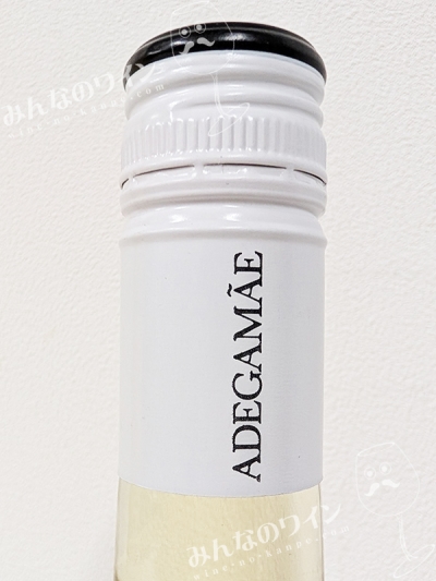 テラスデリスボアブランコ2024